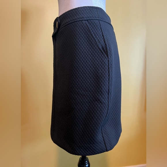 NWOT- Banana Republic Skirt - Picture 4 of 10